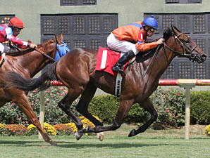 Got Shades Off Turf for 2014 Debut in Lecomte Got Shades Off Turf for 2014 Debut in Lecomte