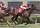 Got Shades Off Turf for 2014 Debut in Lecomte Got Shades Off Turf for 2014 Debut in Lecomte