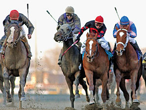 The Fastest Horse in the Gotham...by Far The Fastest Horse in the Gotham...by Far