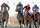 The Fastest Horse in the Gotham...by Far