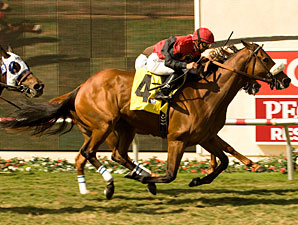 Gotta Have Her Wins Duel for Palomar Repeat Gotta Have Her Wins Duel for Palomar Repeat