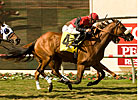 Gotta Have Her Wins Duel for Palomar Repeat Gotta Have Her Wins Duel for Palomar Repeat