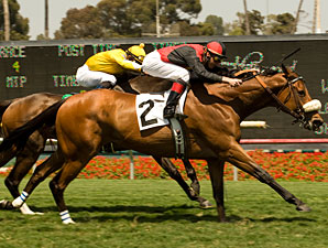 Gotta Have Her Grabs Royal Heroine Mile Gotta Have Her Grabs Royal Heroine Mile