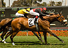 Gotta Have Her Grabs Royal Heroine Mile Gotta Have Her Grabs Royal Heroine Mile