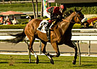 Gotta Have Her Best Again On 'Anita Hillside