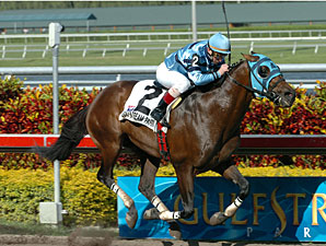 Gottcha Gold to Retire to Ocala Stud Gottcha Gold to Retire to Ocala Stud