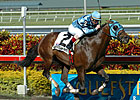 Gottcha Gold to Retire to Ocala Stud Gottcha Gold to Retire to Ocala Stud