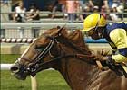 Gouldings Green Gets Gold in Seagram Cup Gouldings Green Gets Gold in Seagram Cup