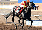Govenor Charlie Charges to Sunland Derby Win
