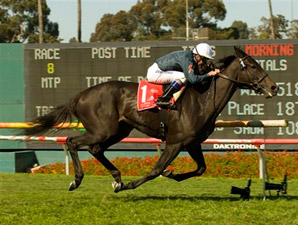 Gozzip Girl Zaps Doubters in American Oaks Gozzip Girl Zaps Doubters in American Oaks