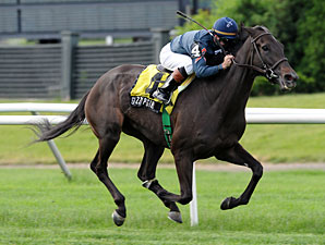 Gozzip Girl Will Pass Breeders' Cup Gozzip Girl Will Pass Breeders' Cup