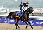 Grace Hall Demands Attention in Apple Blossom
