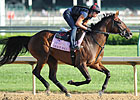 Grace Hall the One to Beat in KY Oaks