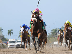 Grace Hall Gallops Away in Gulfstream Oaks Grace Hall Gallops Away in Gulfstream Oaks