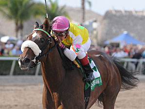 Kentucky Oaks Field Taking Shape Kentucky Oaks Field Taking Shape