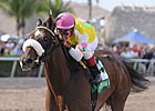 Kentucky Oaks Field Taking Shape Kentucky Oaks Field Taking Shape