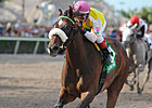 Grace Hall Headlines Delaware Oaks Grace Hall Headlines Delaware Oaks
