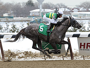 Gracer Long Gone in Dearly Precious Stakes Gracer Long Gone in Dearly Precious Stakes