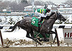Gracer Long Gone in Dearly Precious Stakes Gracer Long Gone in Dearly Precious Stakes