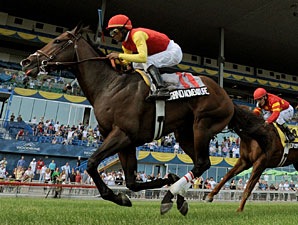Grand Adventure Seeks Repeat in Connaught Cup Grand Adventure Seeks Repeat in Connaught Cup