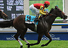 Grand Adventure Captures King Edward Laurels