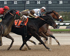 Grand Champion Gets Narrow Victory Grand Champion Gets Narrow Victory