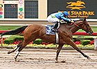 Grand Contender Makes All at Lone Star Park Grand Contender Makes All at Lone Star Park