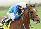 Grand Contender Eyes Another Lone Star Stakes Grand Contender Eyes Another Lone Star Stakes