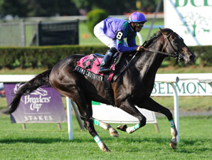 Grand Couturier Back in Form in Bowling Green Grand Couturier Back in Form in Bowling Green