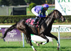 Grand Couturier Back in Form in Bowling Green Grand Couturier Back in Form in Bowling Green
