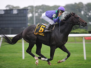 Ribaudo Takes on Big Guys in BC Turf Ribaudo Takes on Big Guys in BC Turf