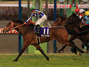 Grand Prix Boss Captures Asahi Hai Futurity Grand Prix Boss Captures Asahi Hai Futurity