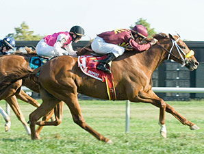 Grand Rapport Just Super in Kent Stakes Win Grand Rapport Just Super in Kent Stakes Win