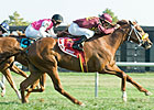 Grand Rapport Just Super in Kent Stakes Win Grand Rapport Just Super in Kent Stakes Win