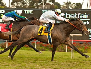 Grandeur Handles Turf Cup Distance Grandeur Handles Turf Cup Distance
