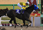 Grape Brandy Swoops to February Stakes Win Grape Brandy Swoops to February Stakes Win