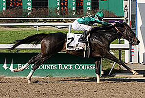 Familiar Faces Entered in Mineshaft Familiar Faces Entered in Mineshaft