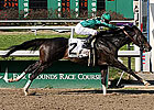 No Denying Grasshopper in Mineshaft No Denying Grasshopper in Mineshaft