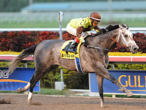 Graydar Wins Grade I Donn in First Stakes Try Graydar Wins Grade I Donn in First Stakes Try