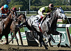 Graydar Too Strong in Kelso Comeback Graydar Too Strong in Kelso Comeback
