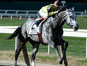 Graydar to Miss Breeders' Cup Dirt Mile Graydar to Miss Breeders' Cup Dirt Mile