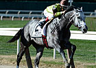 Graydar to Miss Breeders' Cup Dirt Mile Graydar to Miss Breeders' Cup Dirt Mile