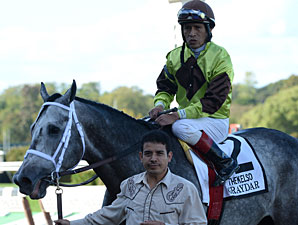 Donn Winner Graydar Retired to Taylor Made Donn Winner Graydar Retired to Taylor Made