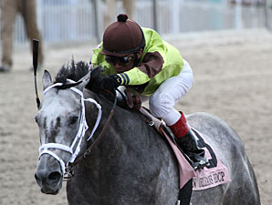 Graydar Sidelined with Ankle Chip Graydar Sidelined with Ankle Chip