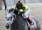 Graydar Sidelined with Ankle Chip Graydar Sidelined with Ankle Chip