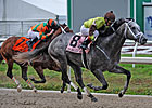 Graydar Proves Real Deal in Tough New Orleans