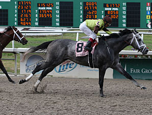 Kelso Could Make it Four Straight for Graydar Kelso Could Make it Four Straight for Graydar