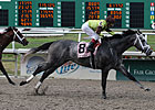 Kelso Could Make it Four Straight for Graydar Kelso Could Make it Four Straight for Graydar