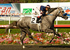 Grazen Favored in Cal Cup Classic Grazen Favored in Cal Cup Classic