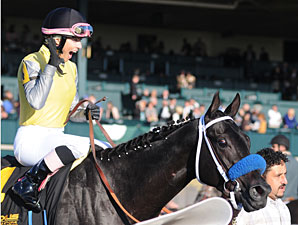 Great Hot Edges Groupie Doll in Raven Run Great Hot Edges Groupie Doll in Raven Run